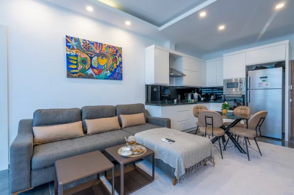 Make a Strategic Investment with Modern One Bedroom One Livingroom Apartment