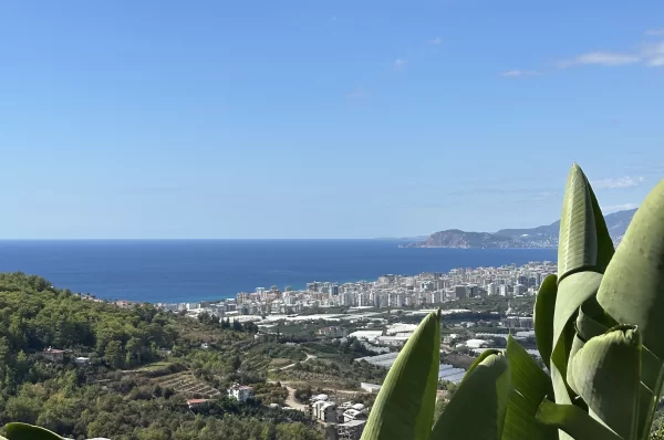 Explore Luxury Real Estate in Kargicak Alanya