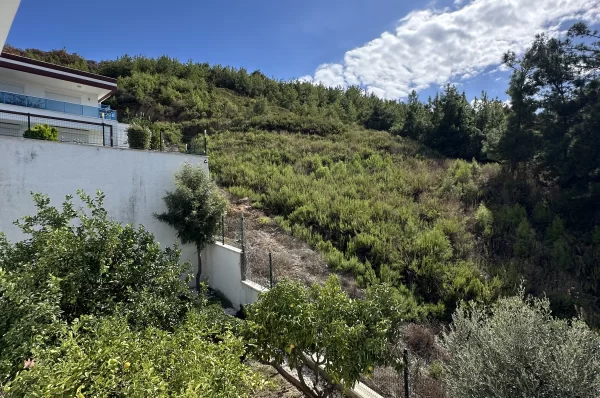 Explore Luxury Real Estate in Kargicak Alanya