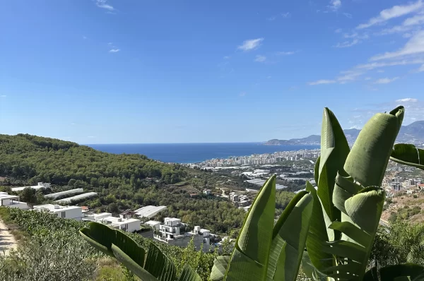 Explore Luxury Real Estate in Kargicak Alanya