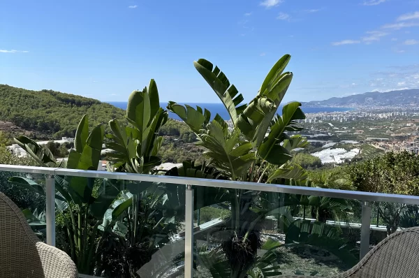 Kargicak Alanya'da Yatırım Fırsatı: 4+1 Daireler