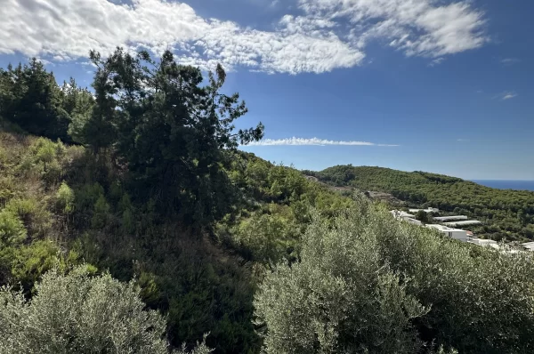 Роскошная недвижимость в Каргыджаке с видом на природу