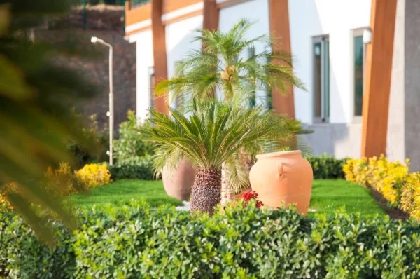 Kargicak Alanya'da Yatırım Fırsatı: 1+1 Daire